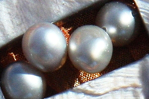 KapKa Design Contemporary Silver Perl Necklace