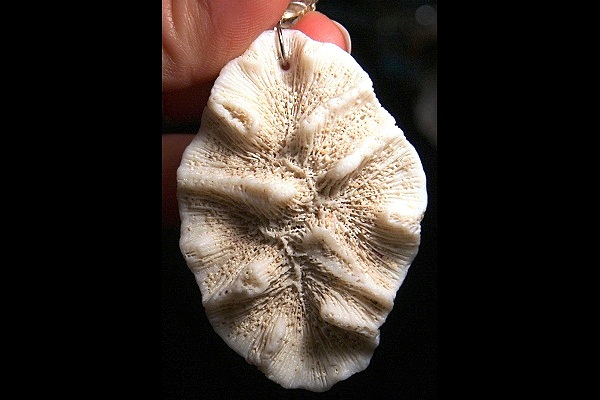 Wild Coral and Citrine Organic Necklace XL