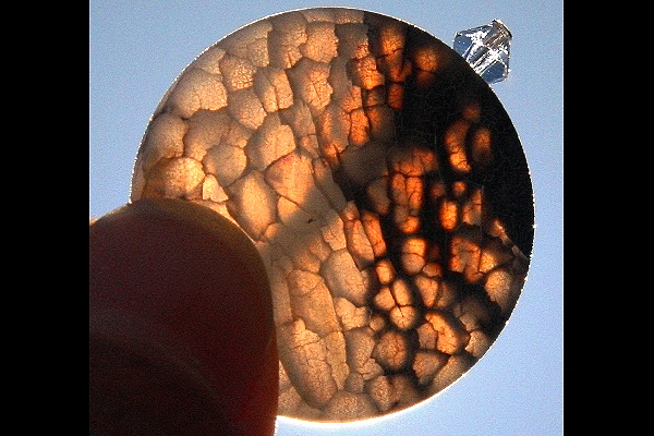 Frosted Blue Agate Gemstone and Natural Blue Corral Sterling Silver Earrings