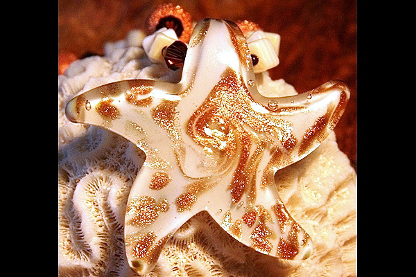 Starfish with Glittering Copper