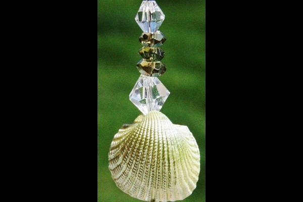 Petite Natural Pearlescent Shell and Olive Green Peridot Sterling Necklace