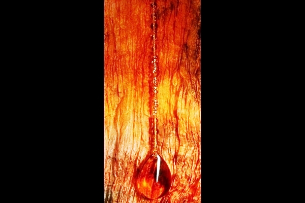 Glowing Amber Suncatcher